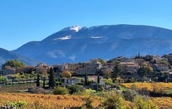 La Roche Buissière - Laurence & Antoine Joly logo