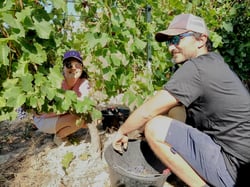 Domaine de Mathalis - Lisa Cipolla & Mathieu Wild logo