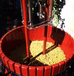 Le Clos des Treilles - Nicolas Reau logo