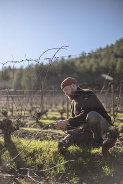 Domaine De L'Ubac - Nicolas Sinoir logo