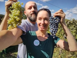 Azienda Agricola Costa Digiano - Amy Wadman & Mirco Lucamarini logo