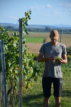 Weingut Florian Herzog - Florian Herzog logo