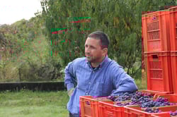 Azienda Agricola Eugenio Bocchino - Eugenio Bocchino logo