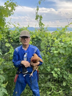 Oliviero Pastoris - Eugenio Pastoris logo