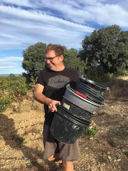 Fergus Clague - Fergus Clague logo