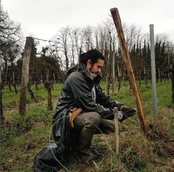 Château Beauséjour - Gérard Dupuy logo