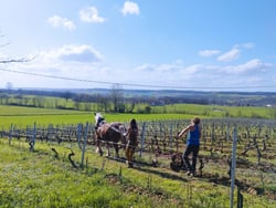 Kévin Barbet paysan vigneron - Kévin Barbet logo