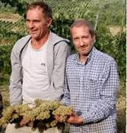 Poggio Secco - Marco Filippello logo