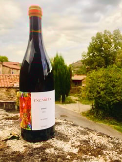 Domaine Ribeyre Pourpre - Mathieu Chevrier & Louise Mazoyer logo