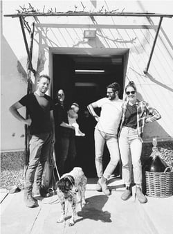 Remedio Vini - Michael Cararro, Alessandro Stefani logo