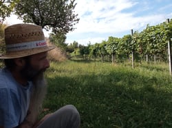 Azienda Agricola Samuele Casella - Samuele Casella logo