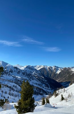 Isola