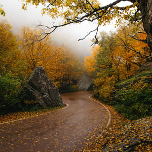 Vermont