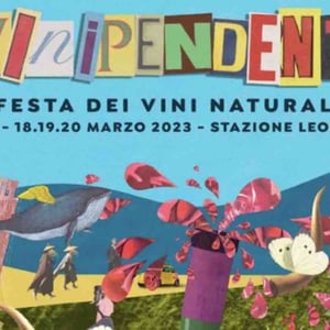 ViniPendenti - Festa Del Vino Naturale