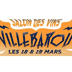 Salons des vins de Villebarou