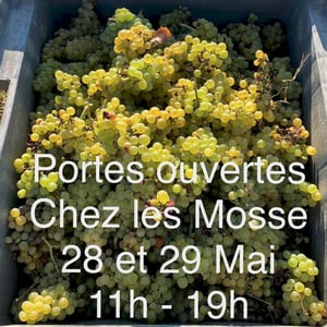 Portes ouvertes chez les Mosse