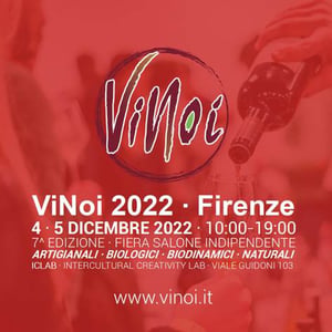 ViNoi