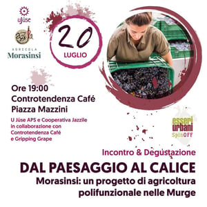 Dal paesaggio al calice - degustazione con Sveva Sernia, Morasinsi