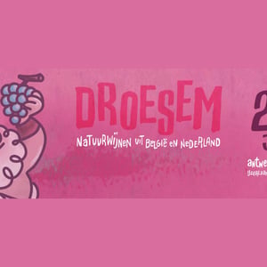Droesem