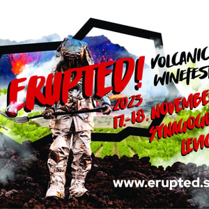 Erupted! International volcanic wine festival Levice