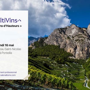 AltiVins