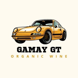 GAMAY GT