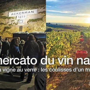 LE MERCATO DU VIN NATURE, ON PARTICIPE au KISS KISS BANK BANK 💵
