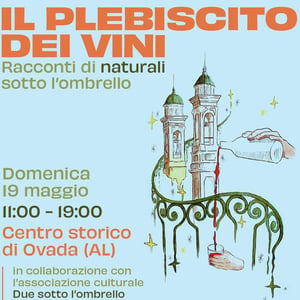 Il Plebiscito dei Vini 2024