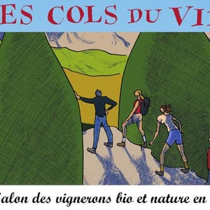 Les Cols du Vin