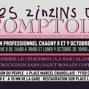 Les Zinzins du Comptoir