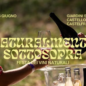 Naturalmente Sottosopra #3