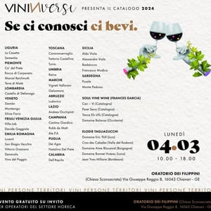 ViniInVersi