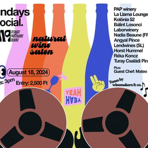Sundays Social - Independent Natural Wine Salon 2024