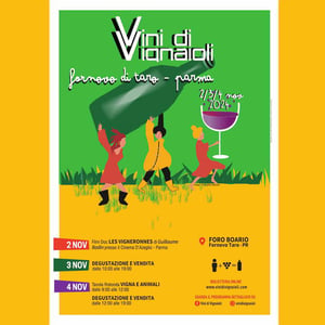 Vini di Vignaioli - Fornovo 2024