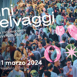 Vini Selvaggi