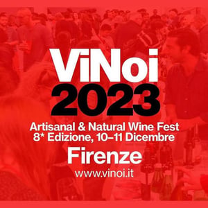 ViNoi 8^ Edizione