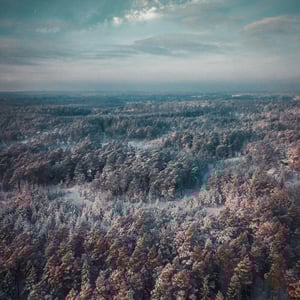 Voivodato di Precarpazi