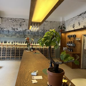 Beaujolais Nouveau & others from Kéké Descombes - Charcuterie and Cheese pairings