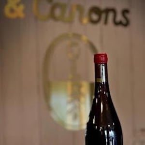 beaujolais nouveau et primeurs