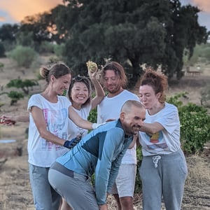 Chapi Harvest