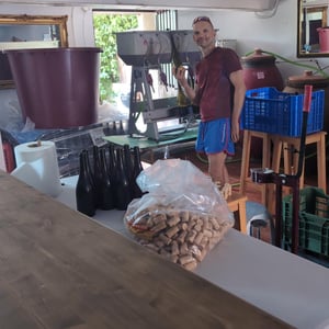 Chapi Harvest