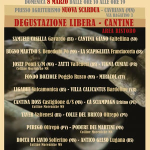 Festa dei vini Artigianali