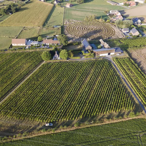 Harvest 2026 at Lijsternest