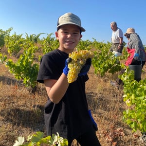 Harvest Crew 2026