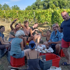 Harvest helpers neded