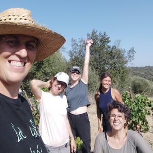 HARVEST, SEA AND GOOD VIBES IN LA GUTINA