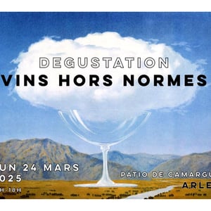 SALON VINS HORS NORMES