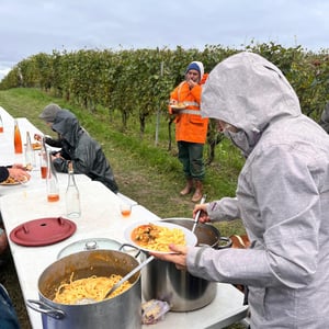 Vendanges 2026 @Binner & Jeunes Pousses