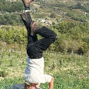 Vendemmia 2026 a Cantina Giardino