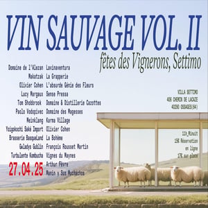 Vin Sauvage Volume II